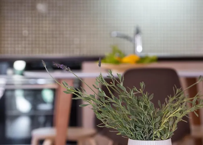 公寓 La Strada Lefkáda